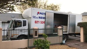 Removal company truck offloading furniture