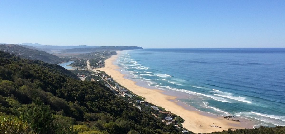 Long Distance Removals Wilderness