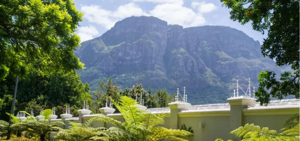 Removals Bishopscourt